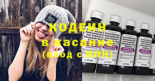 прущие грибы Каменск-Шахтинский