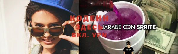 прущие грибы Каменск-Шахтинский