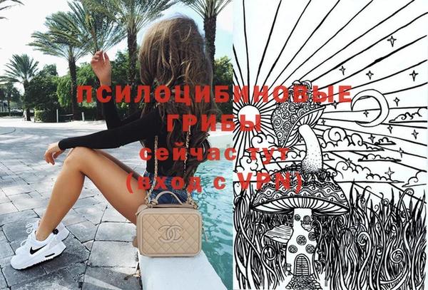 альфа пвп Каменногорск