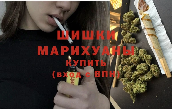прущие грибы Каменск-Шахтинский