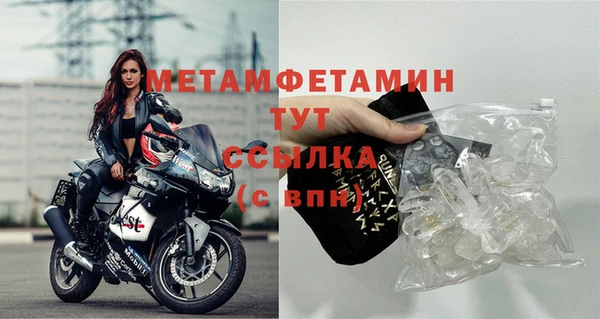 прущие грибы Каменск-Шахтинский