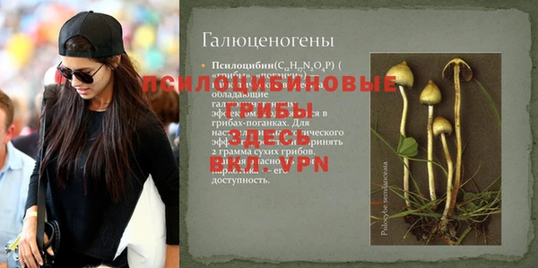 альфа пвп Каменногорск