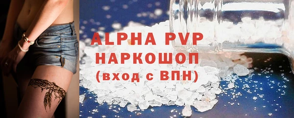 прущие грибы Каменск-Шахтинский