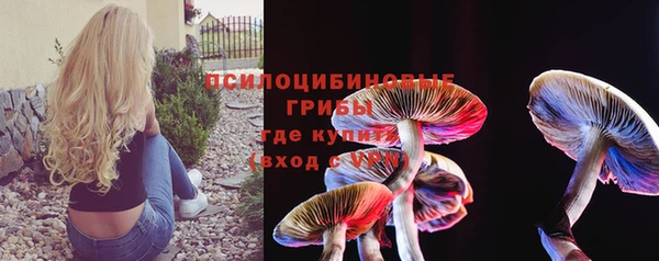 альфа пвп Каменногорск