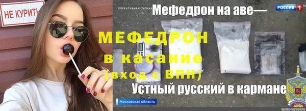 прущие грибы Каменск-Шахтинский